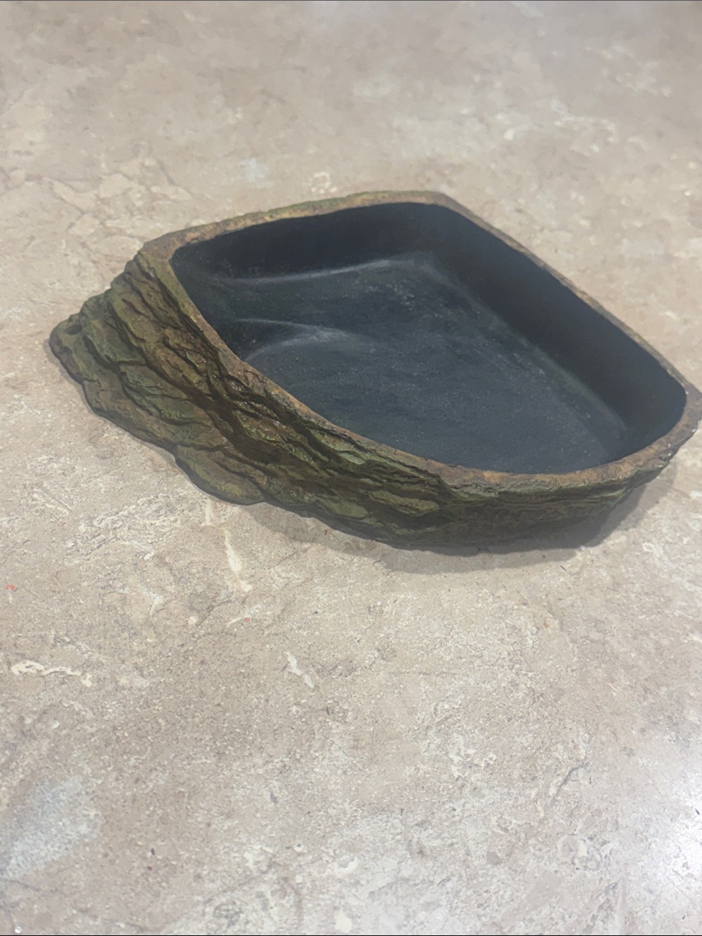 Reptile Dish